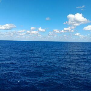 Meet your Posher, Ken